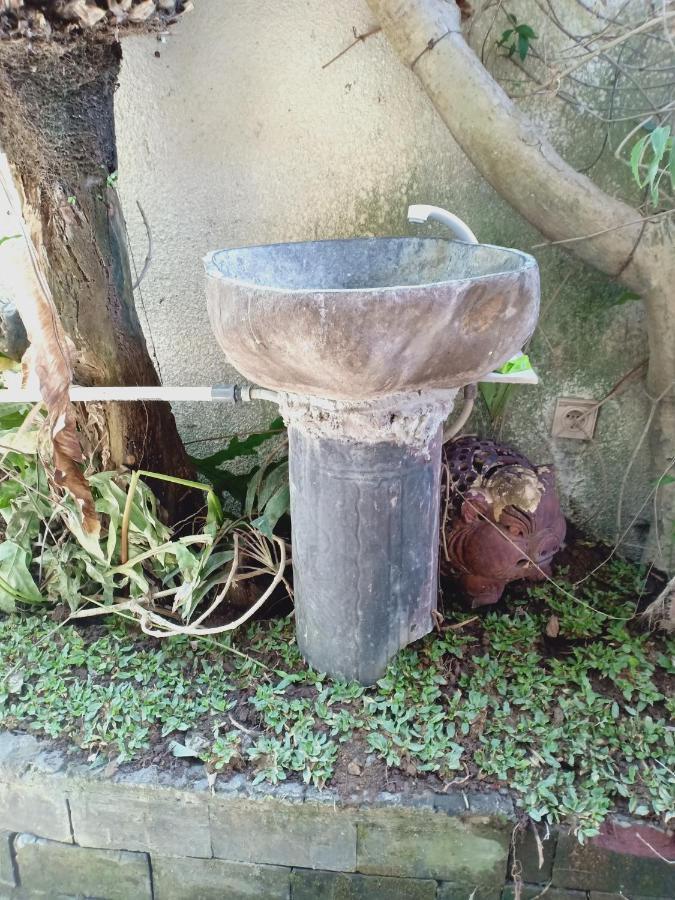 Gusti Homestay Kerobokan المظهر الخارجي الصورة